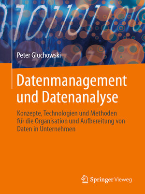 Datenmanagement und Datenanalyse - ebook